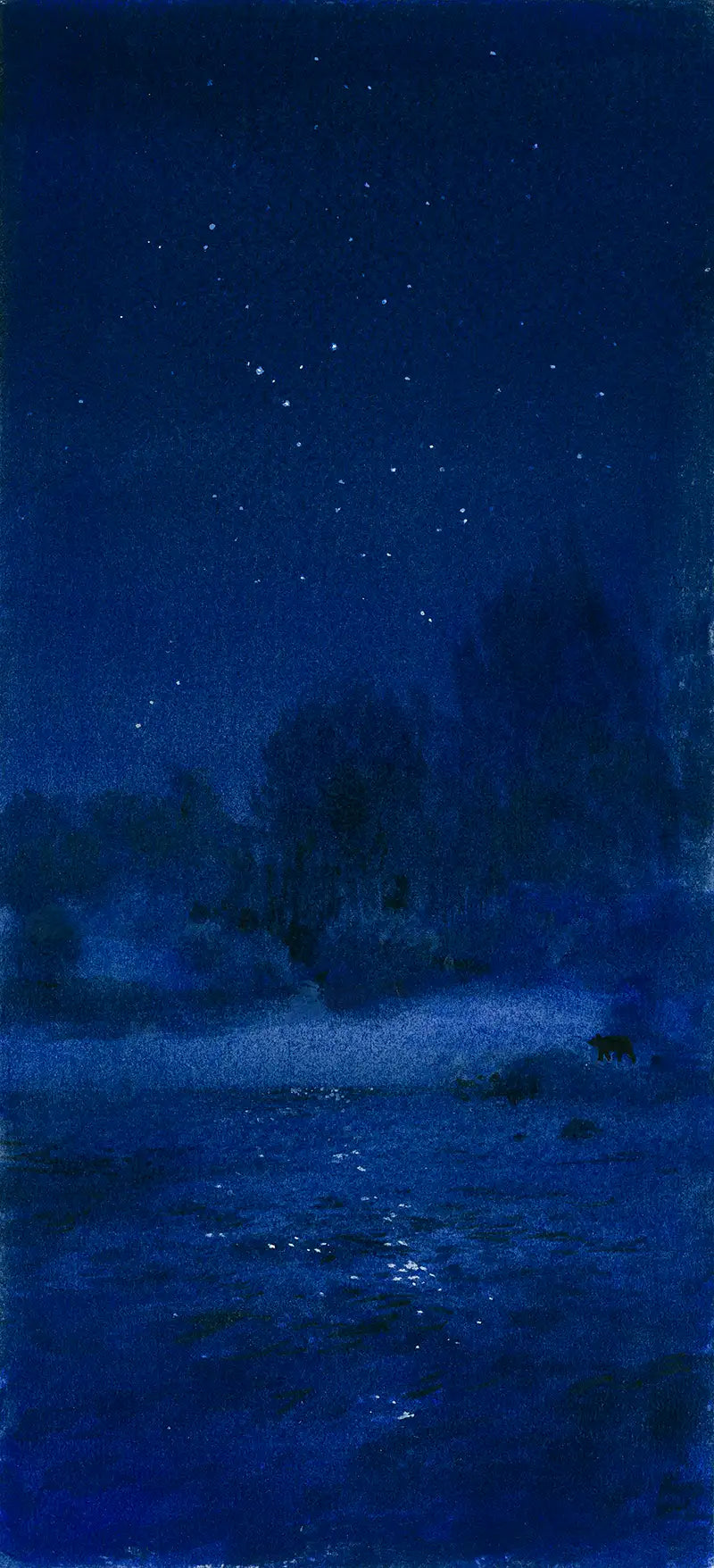 The Path - A night story of Sheep River #13