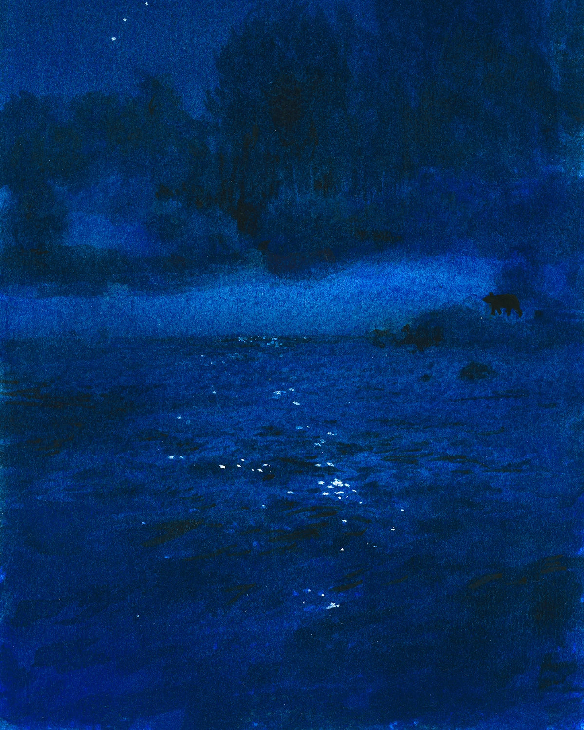 The Path - A night story of Sheep River #13