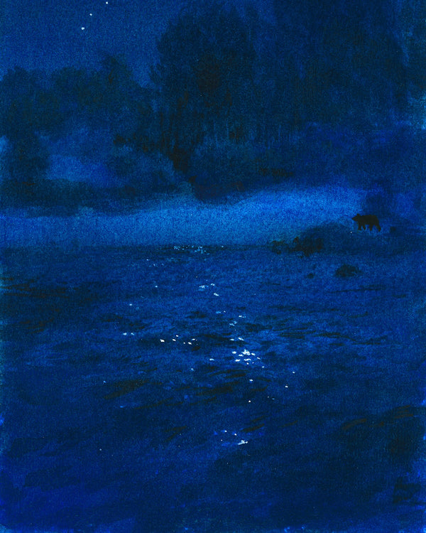 The Path - A night story of Sheep River #13