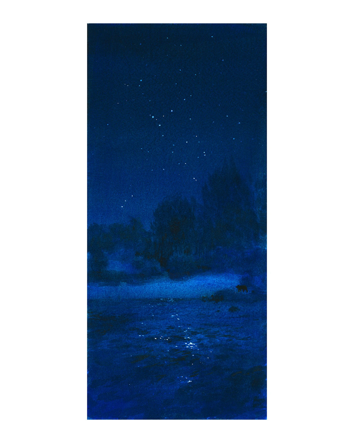 The Path - A night story of Sheep River #13