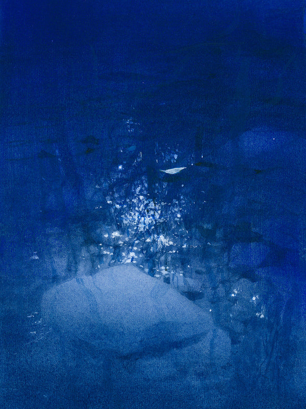 A night story of Sheep River #7 - Print