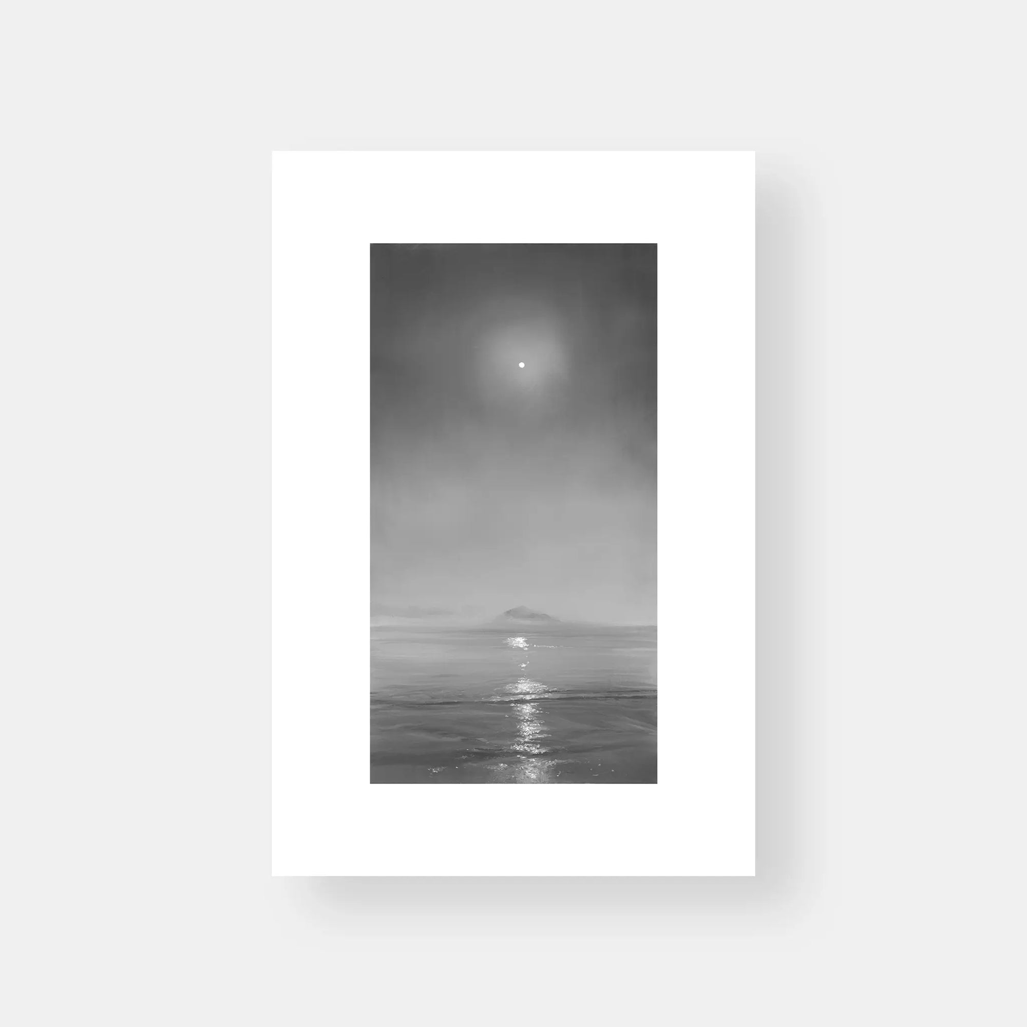 T Max series- Tofino #19