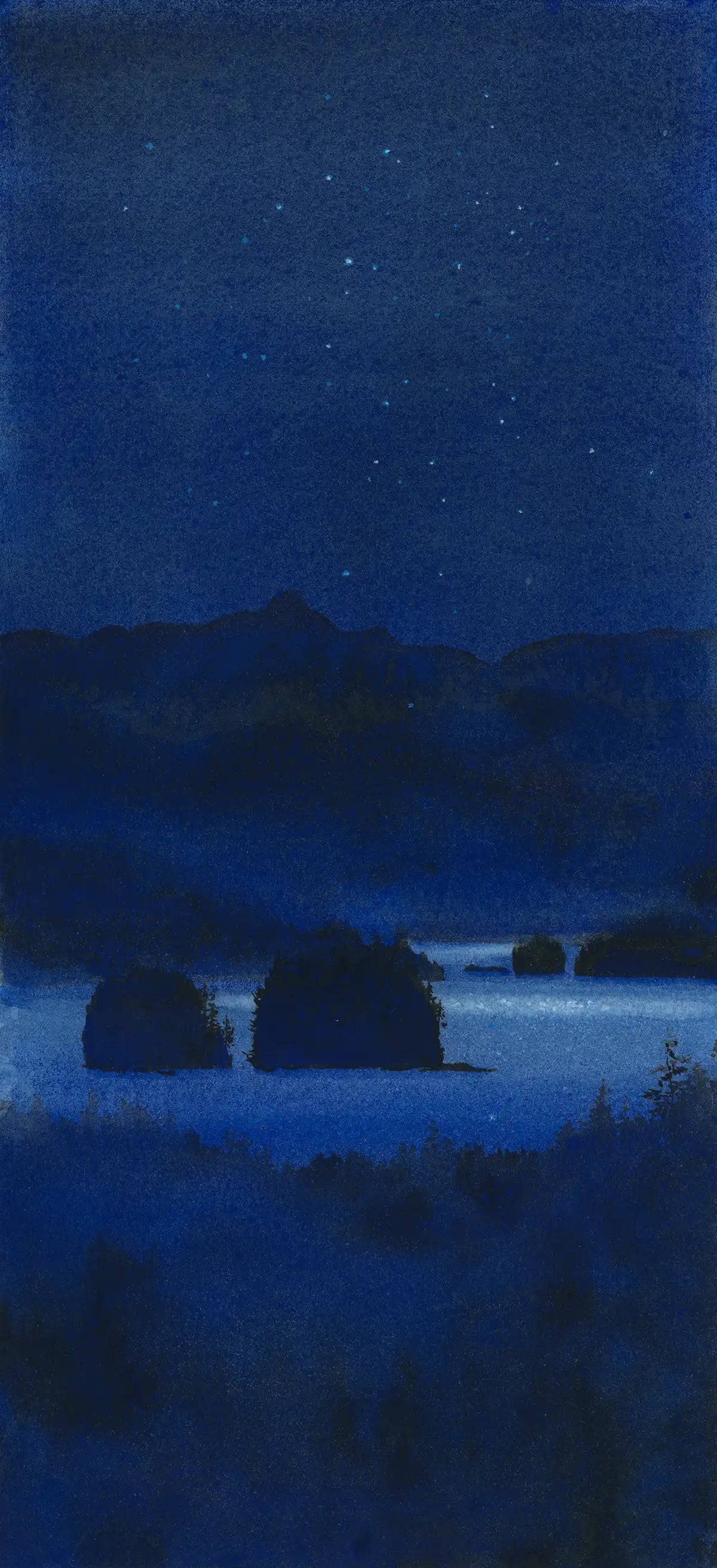 Under - Tofino #23