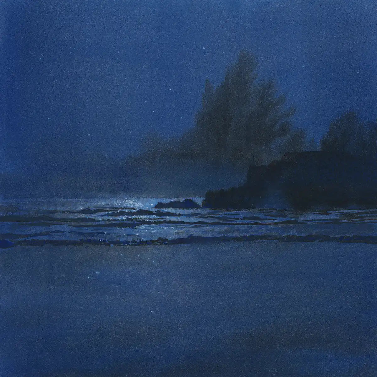 Under - Tofino #27
