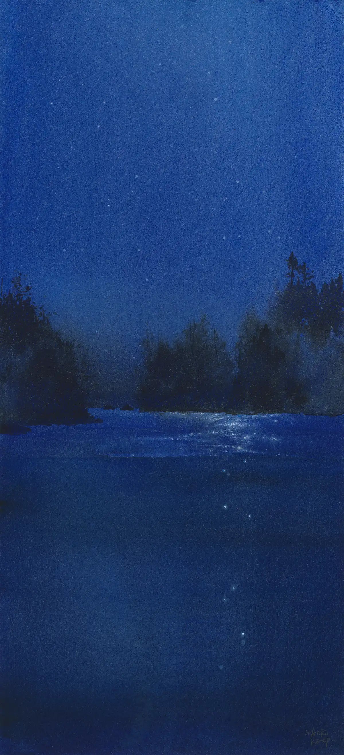 Under - Vancouver Island 16
