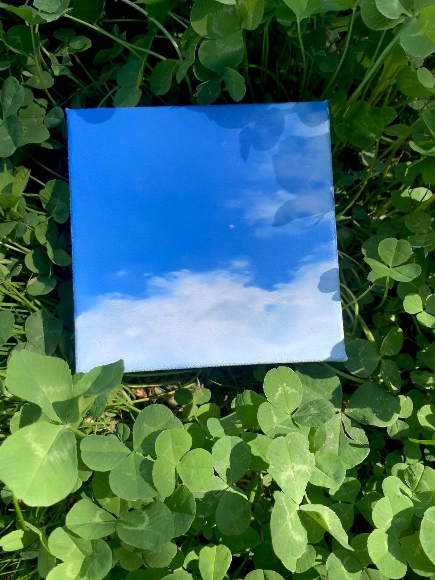 Sky Daily painting project